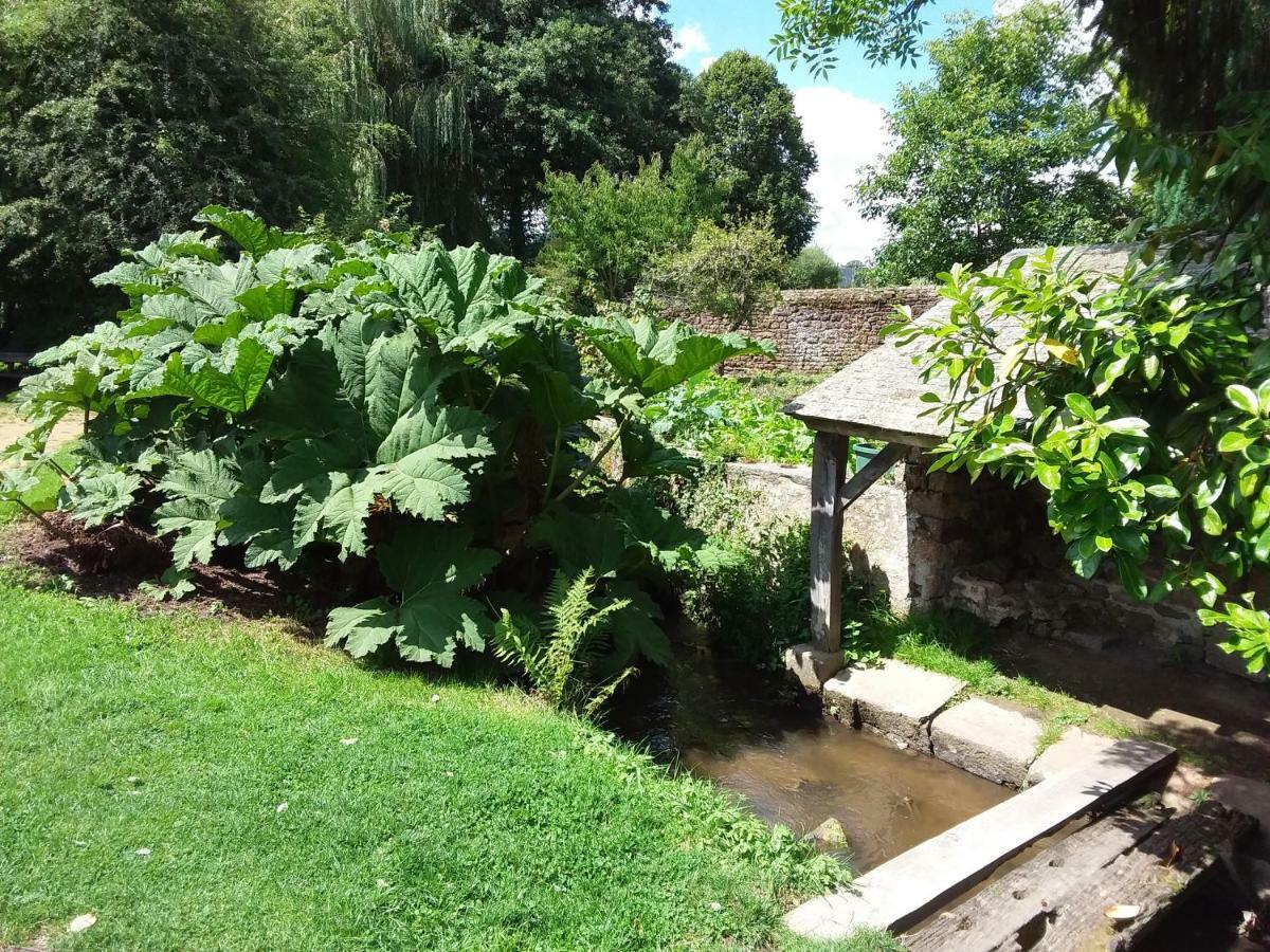L'Orchidee Villa Lassay-les-Chateaux Dış mekan fotoğraf